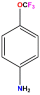 4-(Trifluoromethoxy)aniline